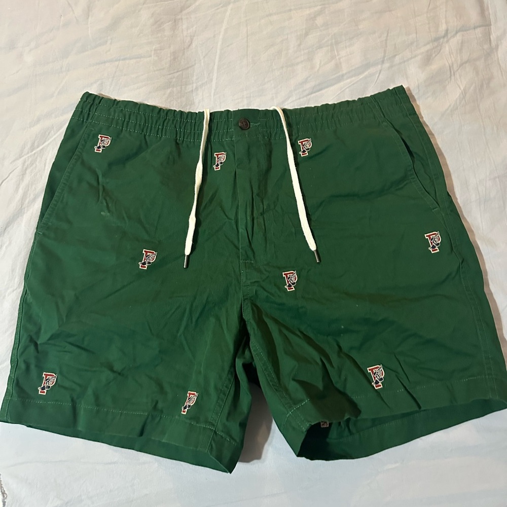 Green Embroidered Swim Shorts